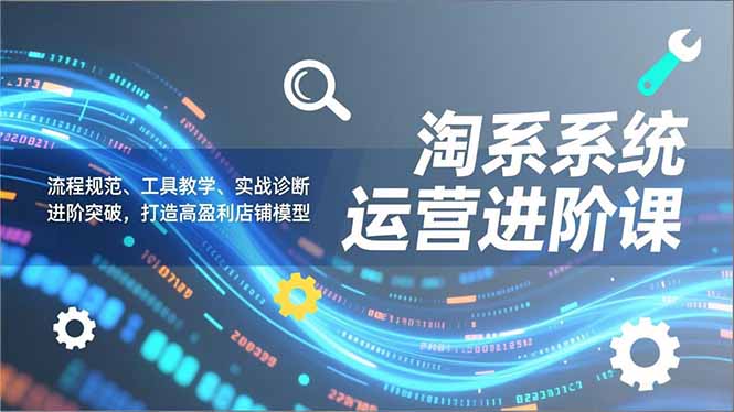淘系系统运营进阶课2.0，流程规范、工具教学、实战诊断，进阶突破，打造高盈利店铺模型-璞创优选云网创