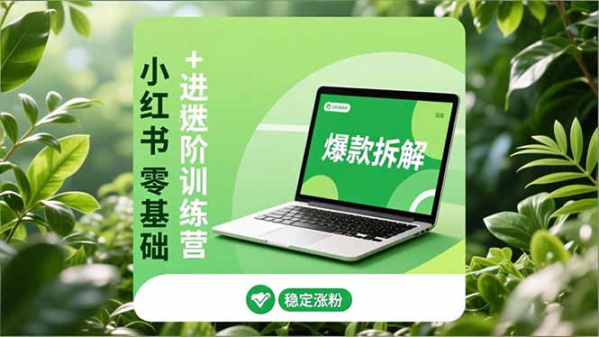 小红书零基础+高阶训练营：安全养号、爆款拆解、长效运营，实现稳定涨粉与变现-璞创优选云网创