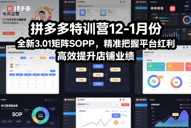 拼多多特训营12-1月份，全新3.01矩阵Sop，精准把握平台红利，高效提升店铺业绩-璞创优选云网创