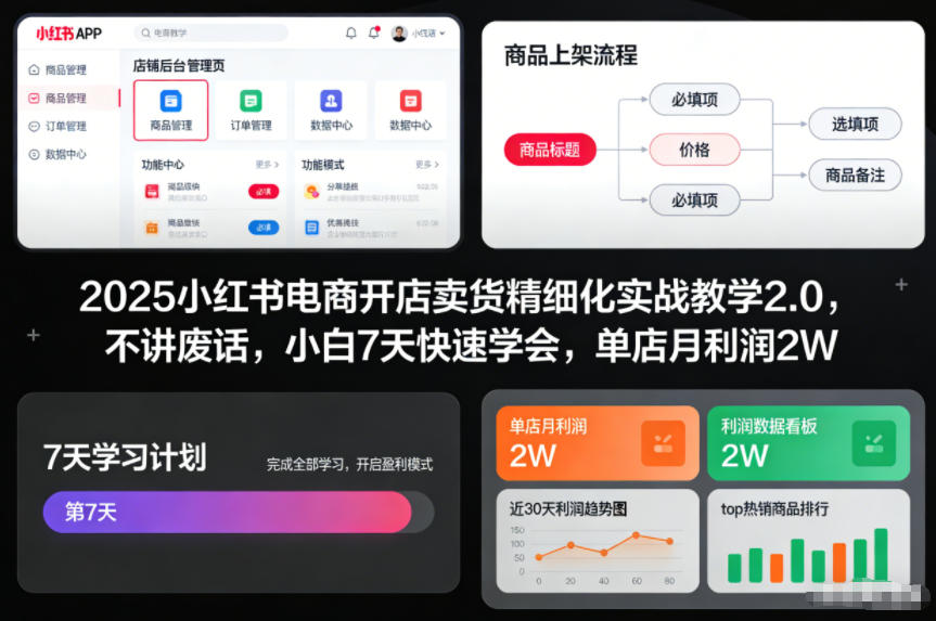 2025小红书电商开店卖货精细化实战教学2.0，不讲废话，小白7天快速学会，单店月利润2W-璞创优选云网创