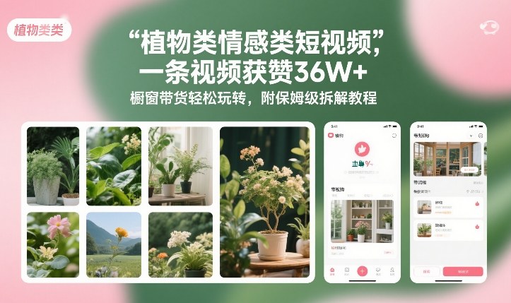 植物类情感类短视频，一条视频获赞36W+，橱窗带货轻松玩转，附保姆级拆解教程-璞创优选云网创