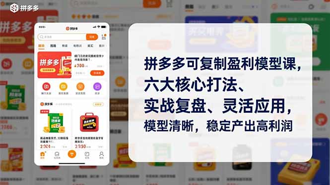 拼多多可复制盈利模型课，六大核心打法、实战复盘、灵活应用，模型清晰，稳定产出高利润-璞创优选云网创