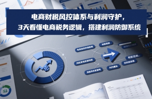 电商财税风控体系与利润守护，3天看懂电商税务逻辑，搭建利润防御系统-璞创优选云网创