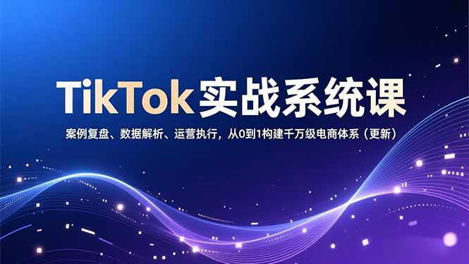 TikTok实战系统课，案例复盘、数据解析、运营执行，从0到1构建千万级电商体系(更新-璞创优选云网创